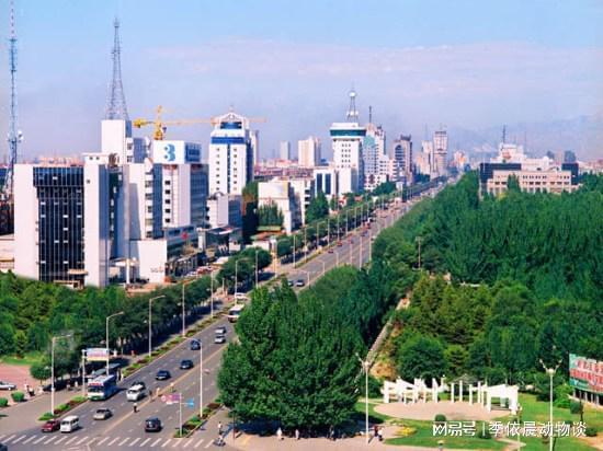 包头技能指南,初学者至进阶者的学习攻略全解